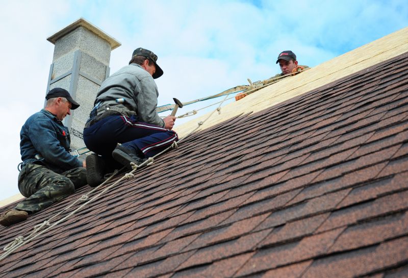 Professional Roofing Experts